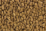 1965-66 Chevrolet Corvette Roadster Carpet by ACC