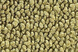 1968-72 Pontiac LeMans Floor Mats by ACC
