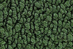 1968-70 Pontiac Tempest Floor Mats by ACC