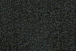 1993-2002 Pontiac Firebird Trans Am Passenger Carpet by ACC